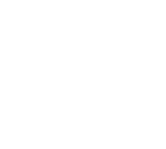 Ally