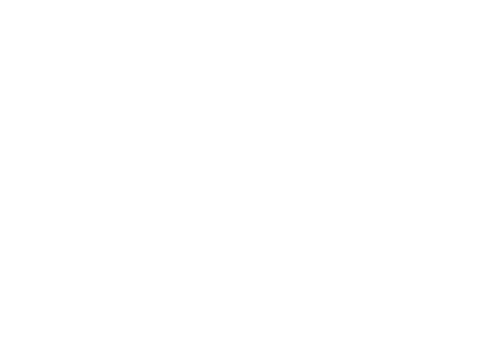 Debts
