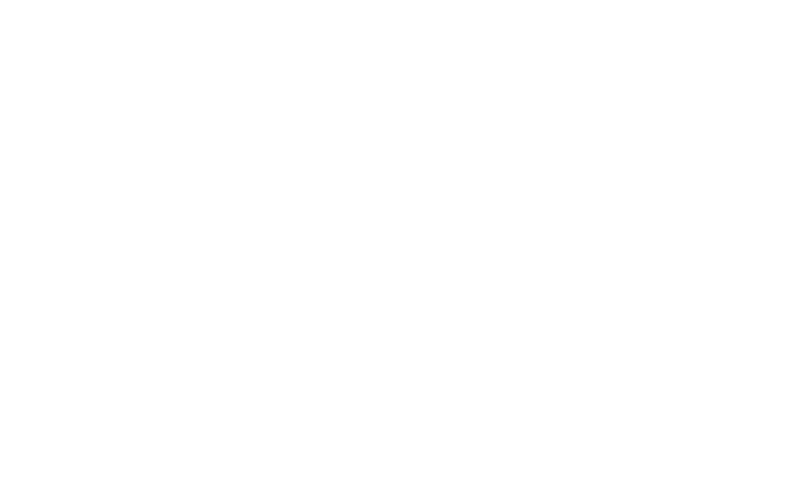 Fidelity